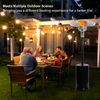 Outdoor Patio Propane Space Heater 