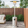 Stainless steel outdoor Gas Patio Heaters